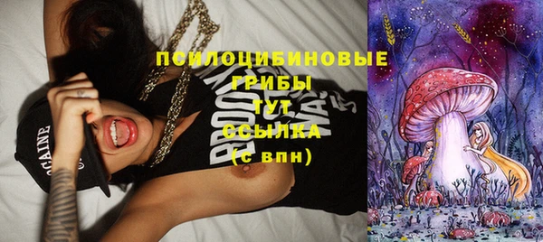 тгк Бородино
