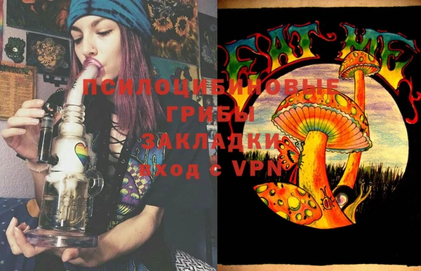 тгк Бородино