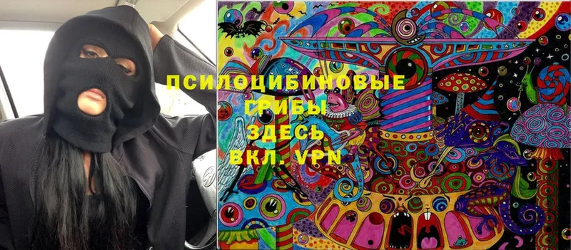 Галлюциногенные грибы Cubensis  Весьегонск 